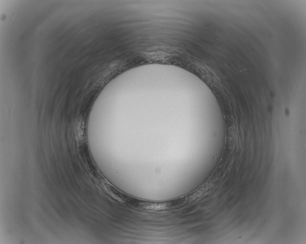 X0000084050081200702160935