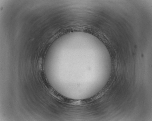 X0000084050083200702160935