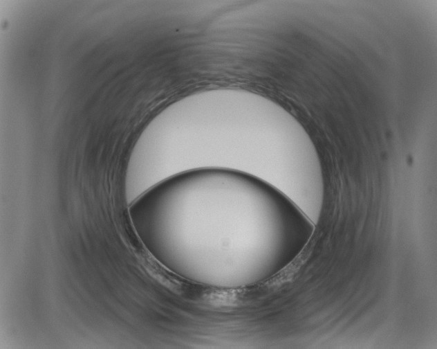 X0000084050084200702160935