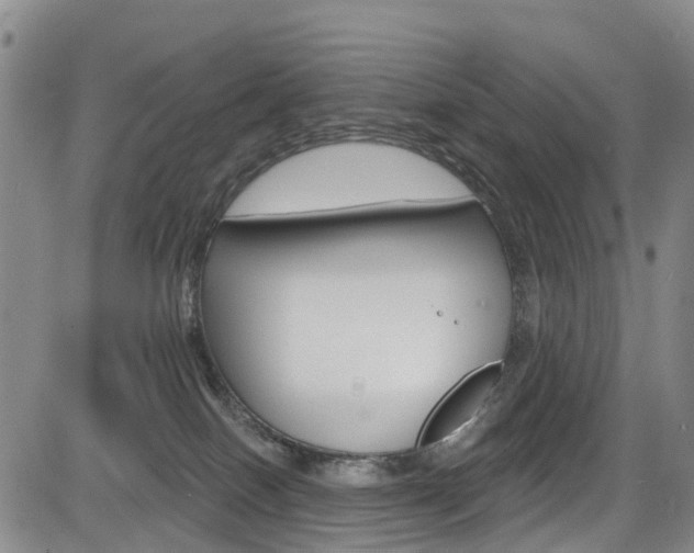 X0000084050086200702160935