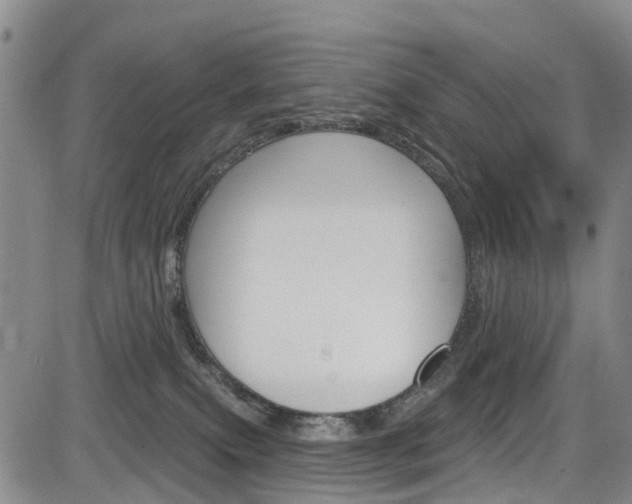 X0000084050087200702160935