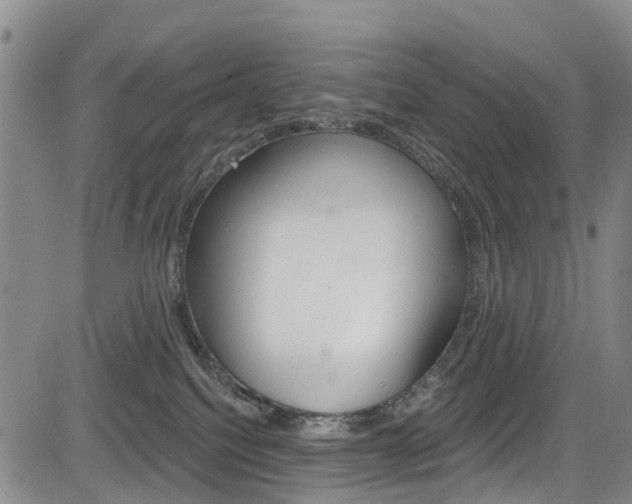 X0000084050088200702160935