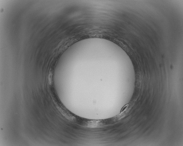 X0000084050090200702160935