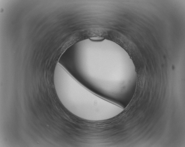 X0000084050091200702160935