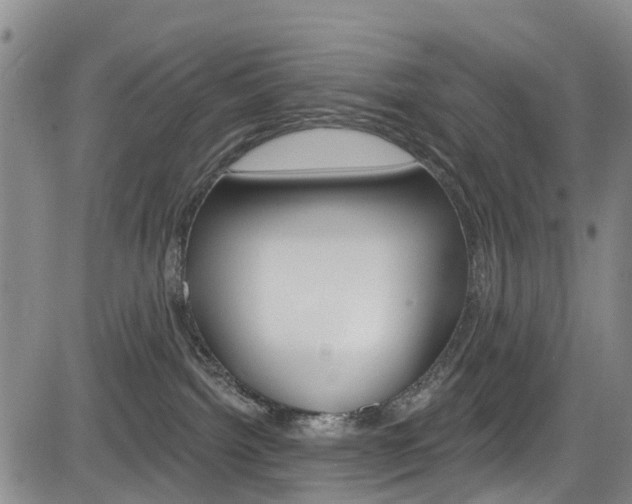 X0000084050092200702160935