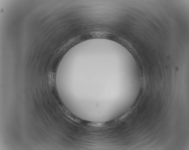 X0000084050093200702160935