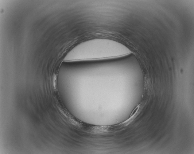 X0000084050094200702160935