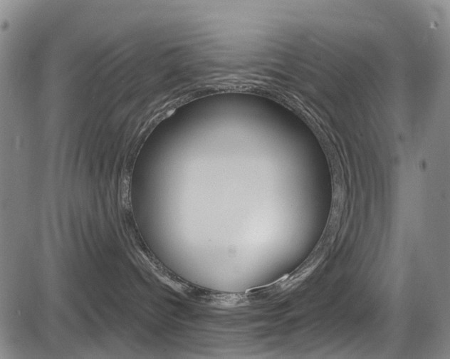 X0000084050096200702160936