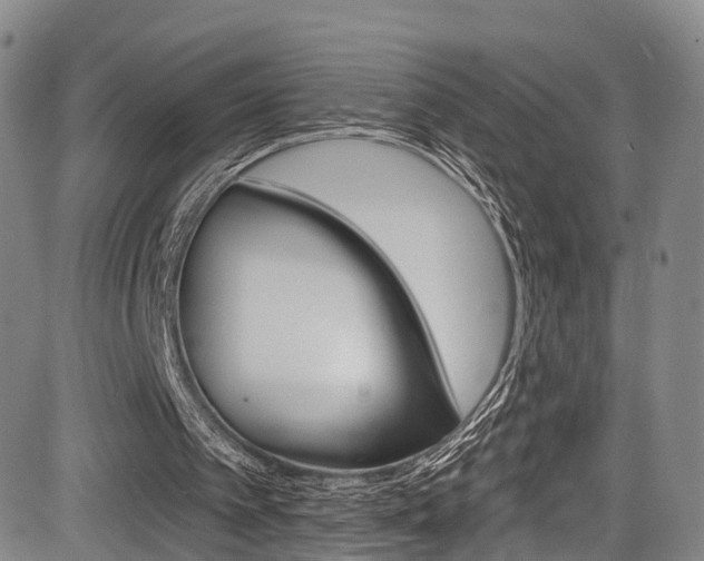 X0000084050097200702160935