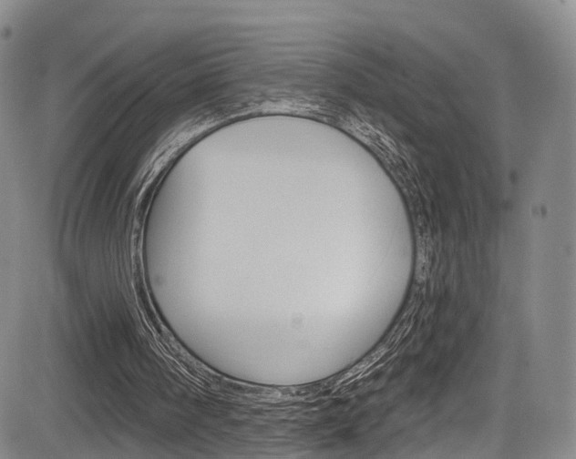 X0000084050098200702160935