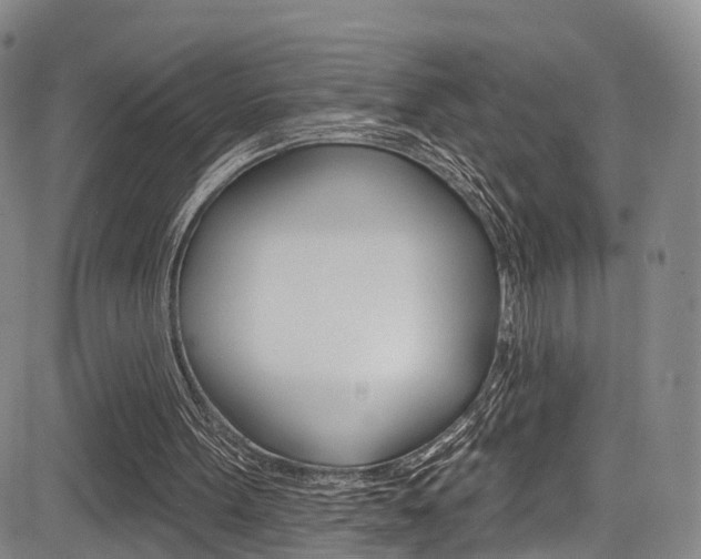 X0000084050099200702160935