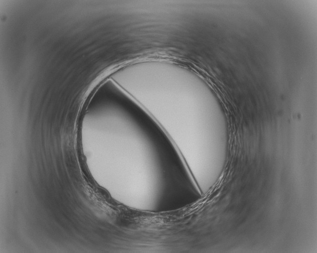 X0000084050100200702160935