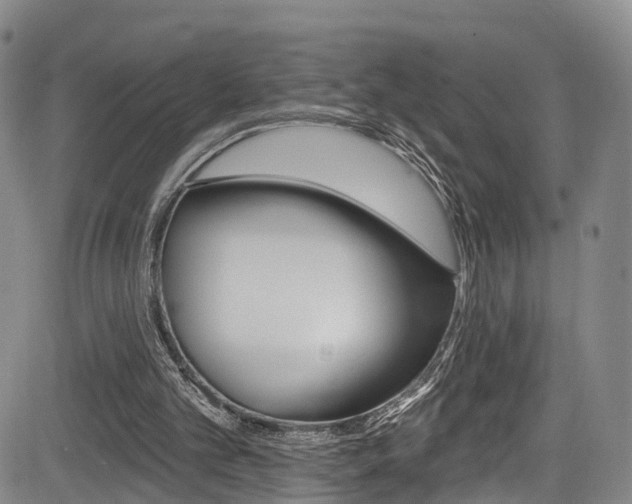 X0000084050101200702160935