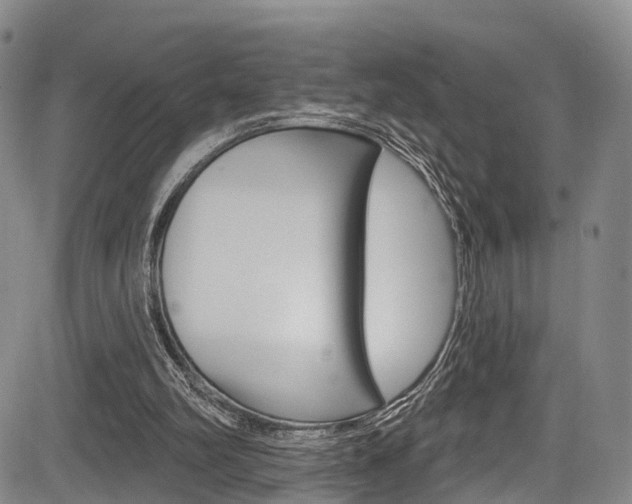 X0000084050102200702160935