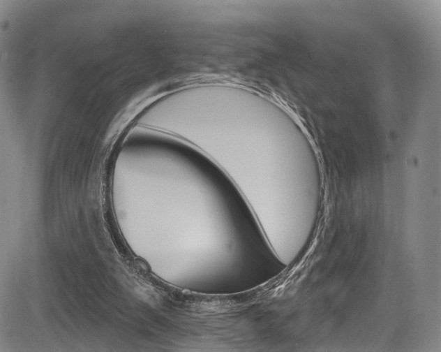 X0000084050103200702160935