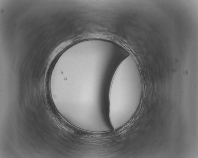 X0000084050104200702160935