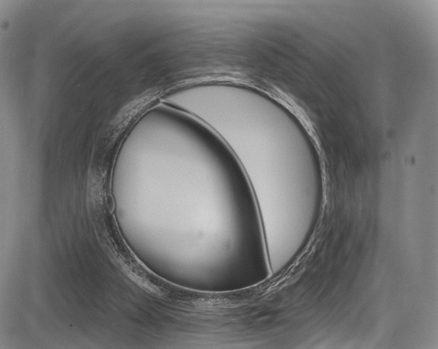 X0000084050105200702160935