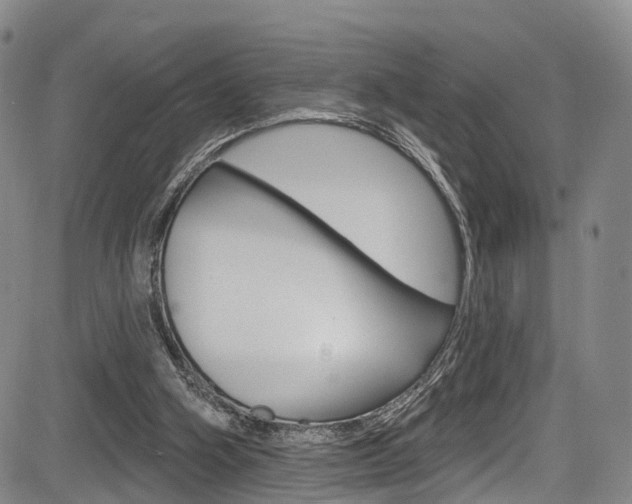 X0000084050106200702160935