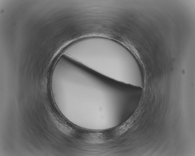 X0000084050108200702160935