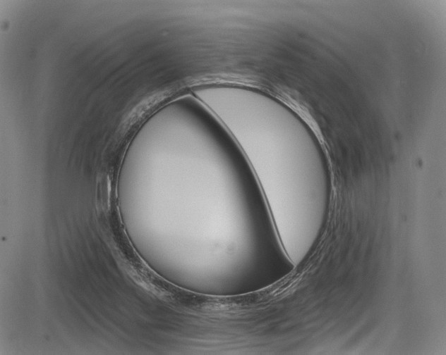 X0000084050109200702160935