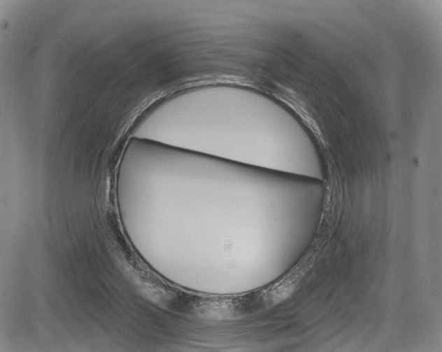 X0000084050110200702160935