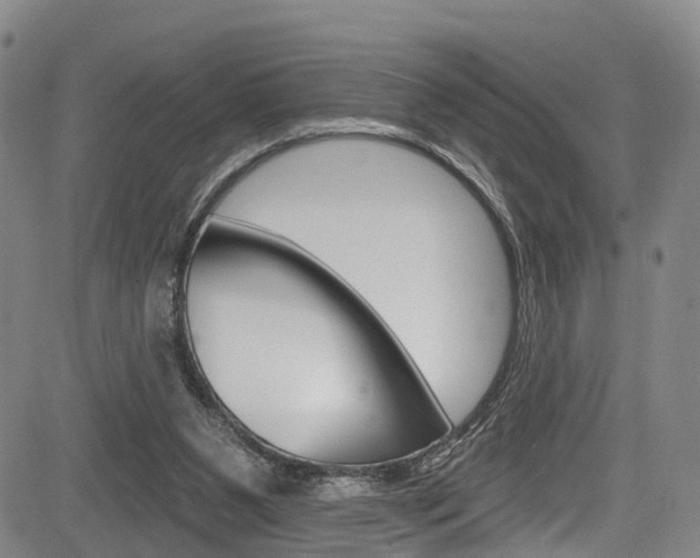 X0000084050111200702160935