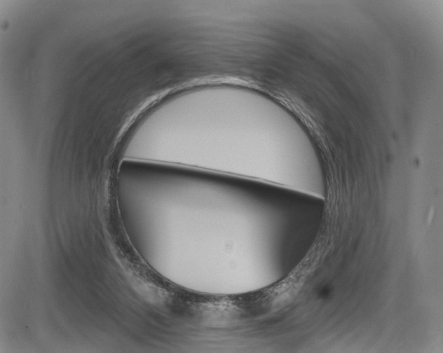 X0000084050112200702160934