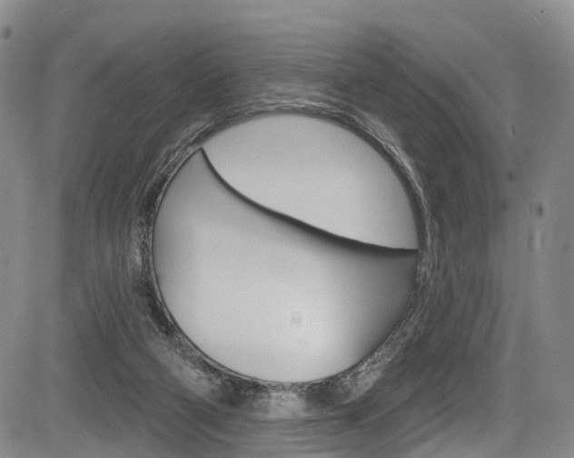 X0000084050114200702160934