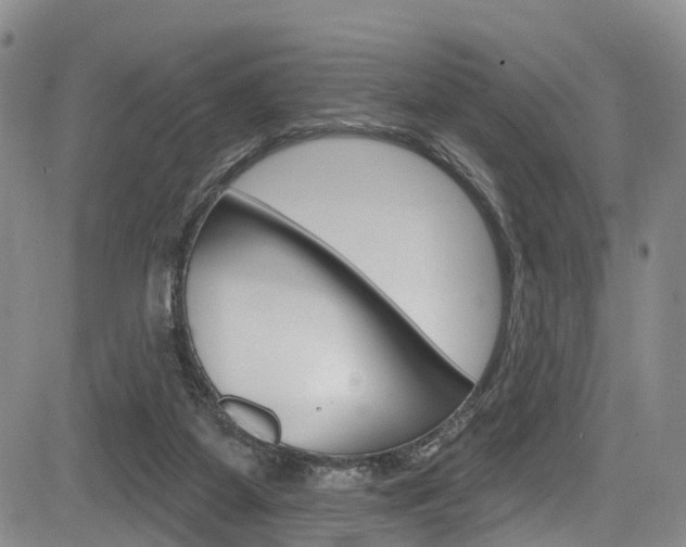 X0000084050115200702160934