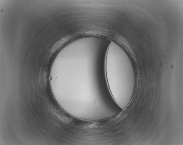 X0000084050116200702160934