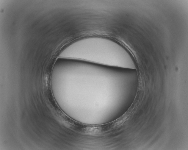 X0000084050117200702160934