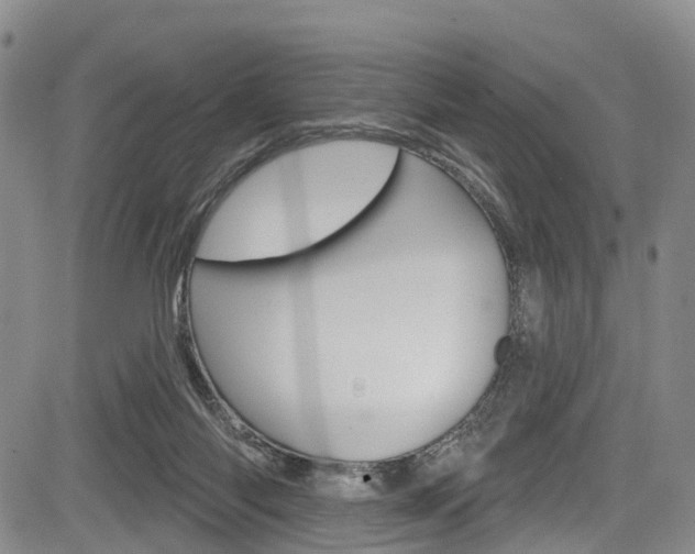 X0000084050118200702160934