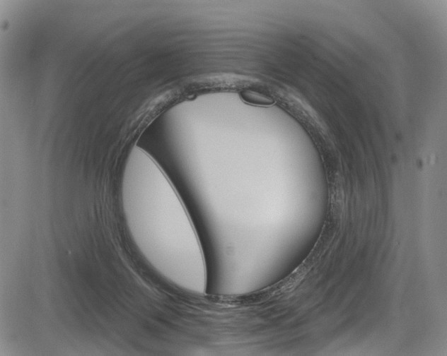 X0000084050119200702160934