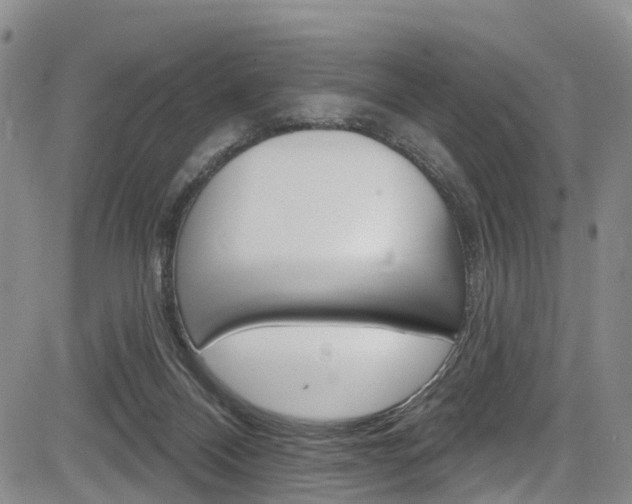 X0000084050120200702160934