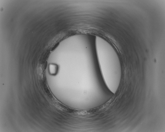 X0000084050121200702160934