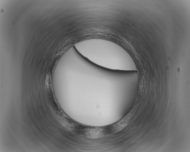 X0000084050122200702160934