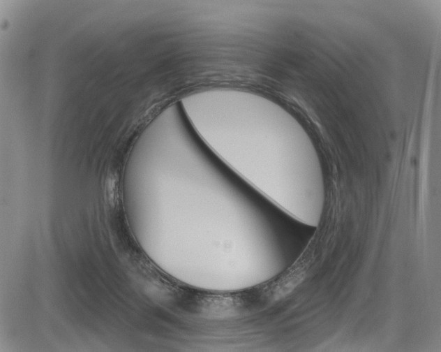 X0000084050123200702160934