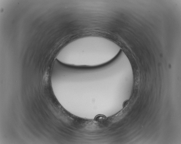 X0000084050124200702160934