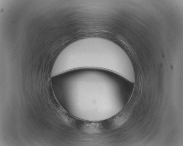 X0000084050125200702160934