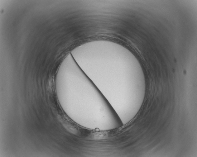 X0000084050126200702160934