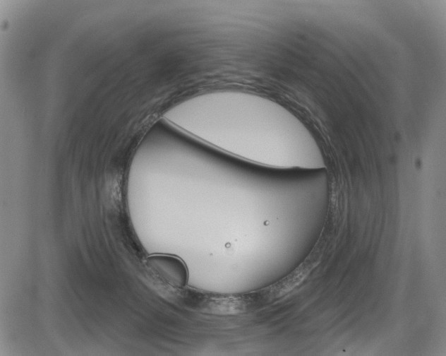 X0000084050127200702160934