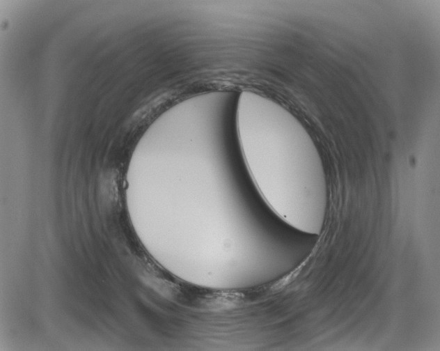 X0000084050128200702160934