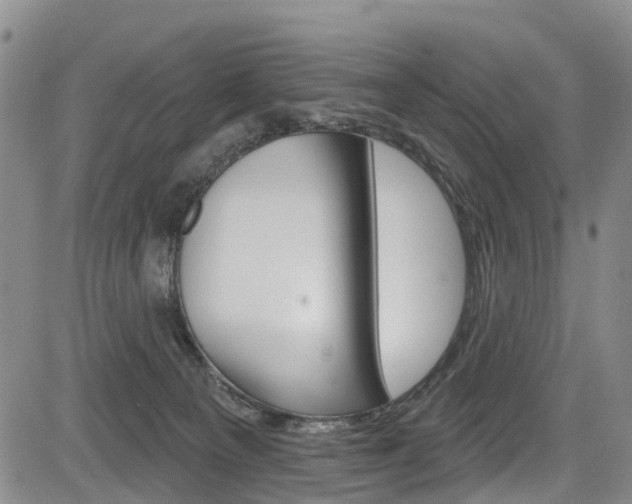 X0000084050129200702160934