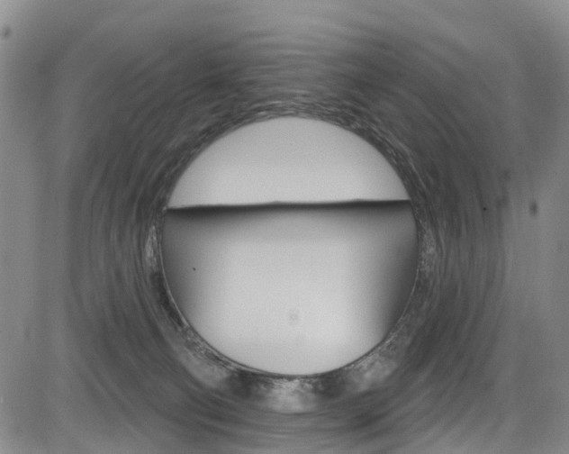 X0000084050130200702160934