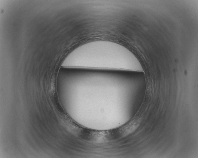 X0000084050131200702160934