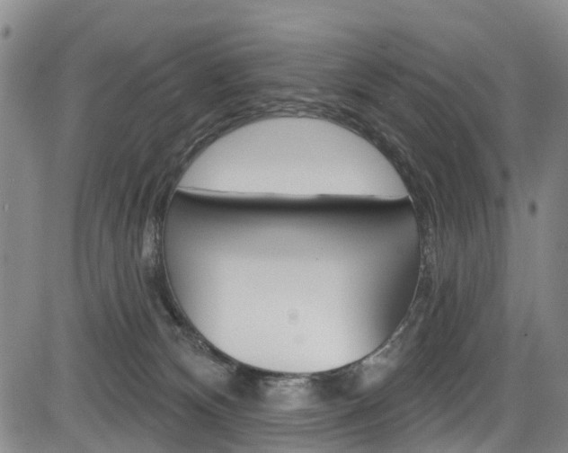 X0000084050132200702160934