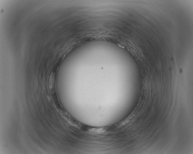 X0000084050133200702160934