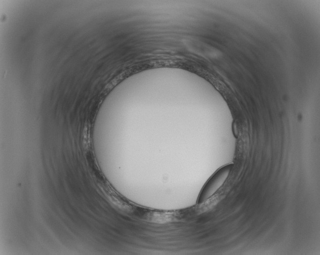 X0000084050134200702160934