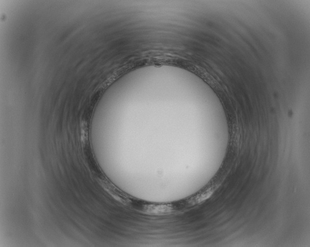 X0000084050135200702160934