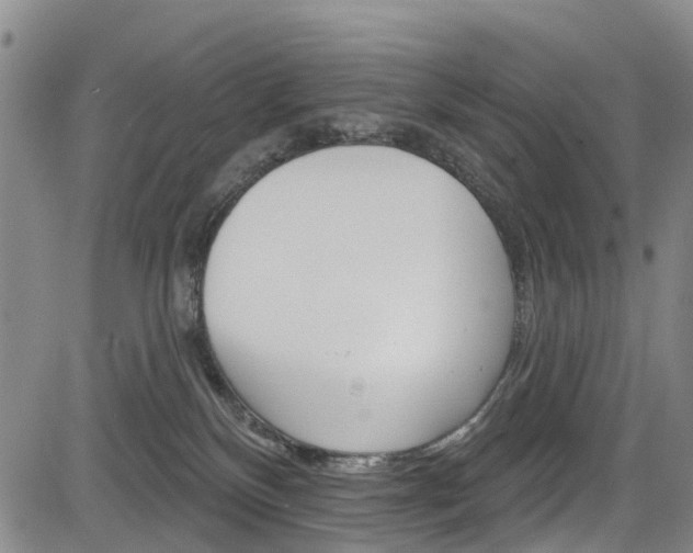 X0000084050136200702160934